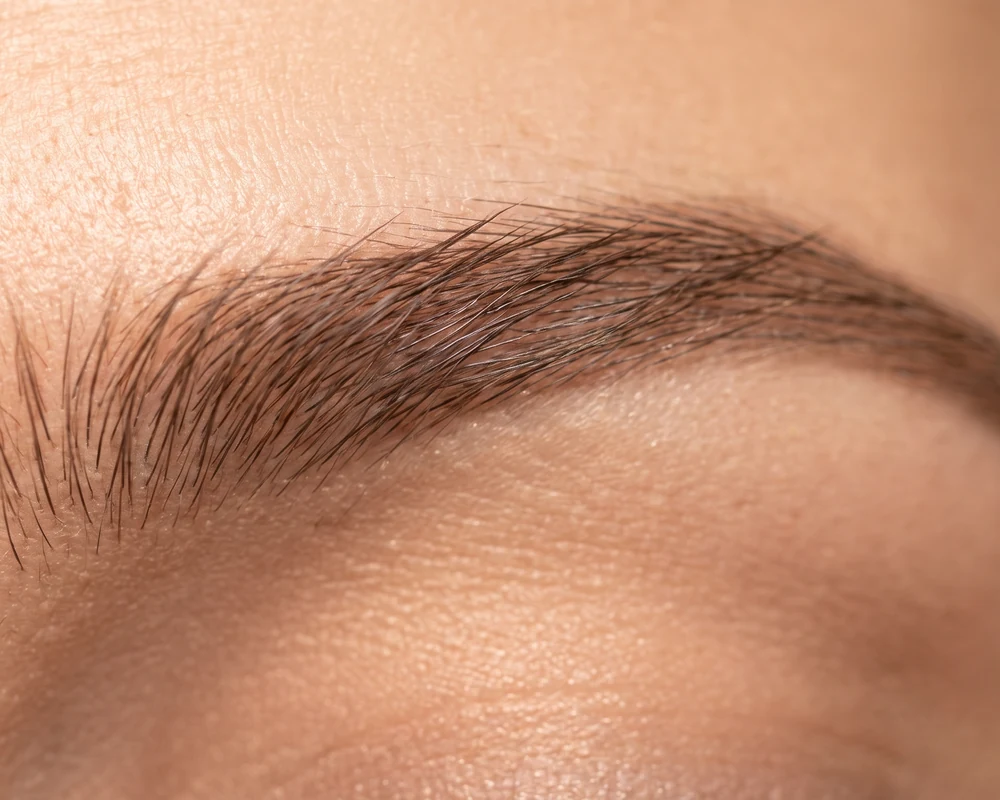 Powder Brows and Eyebrow Tattoo